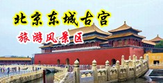 www.yjspb99..com中国北京-东城古宫旅游风景区